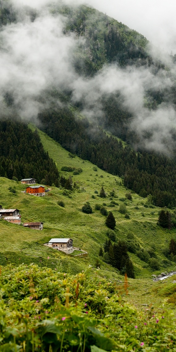 Karadeniz